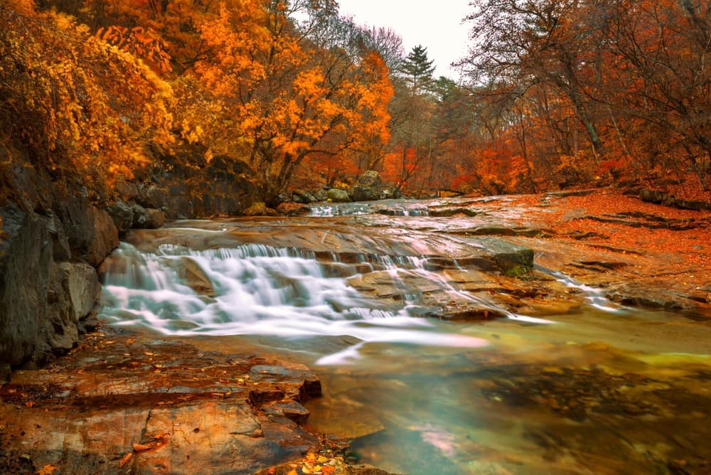Der Herbst in Südkorea: die unverzichtbaren Besuche