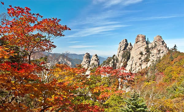 Top 5 Attraktionen in Südkorea