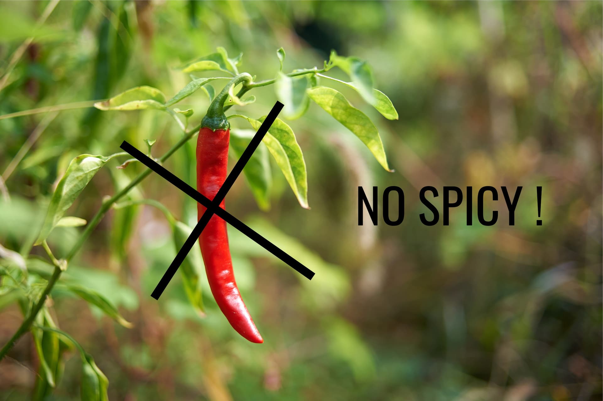 Drei unverzichtbare Gerichte, um die Schärfe des Chilis in Seoul zu vermeiden
