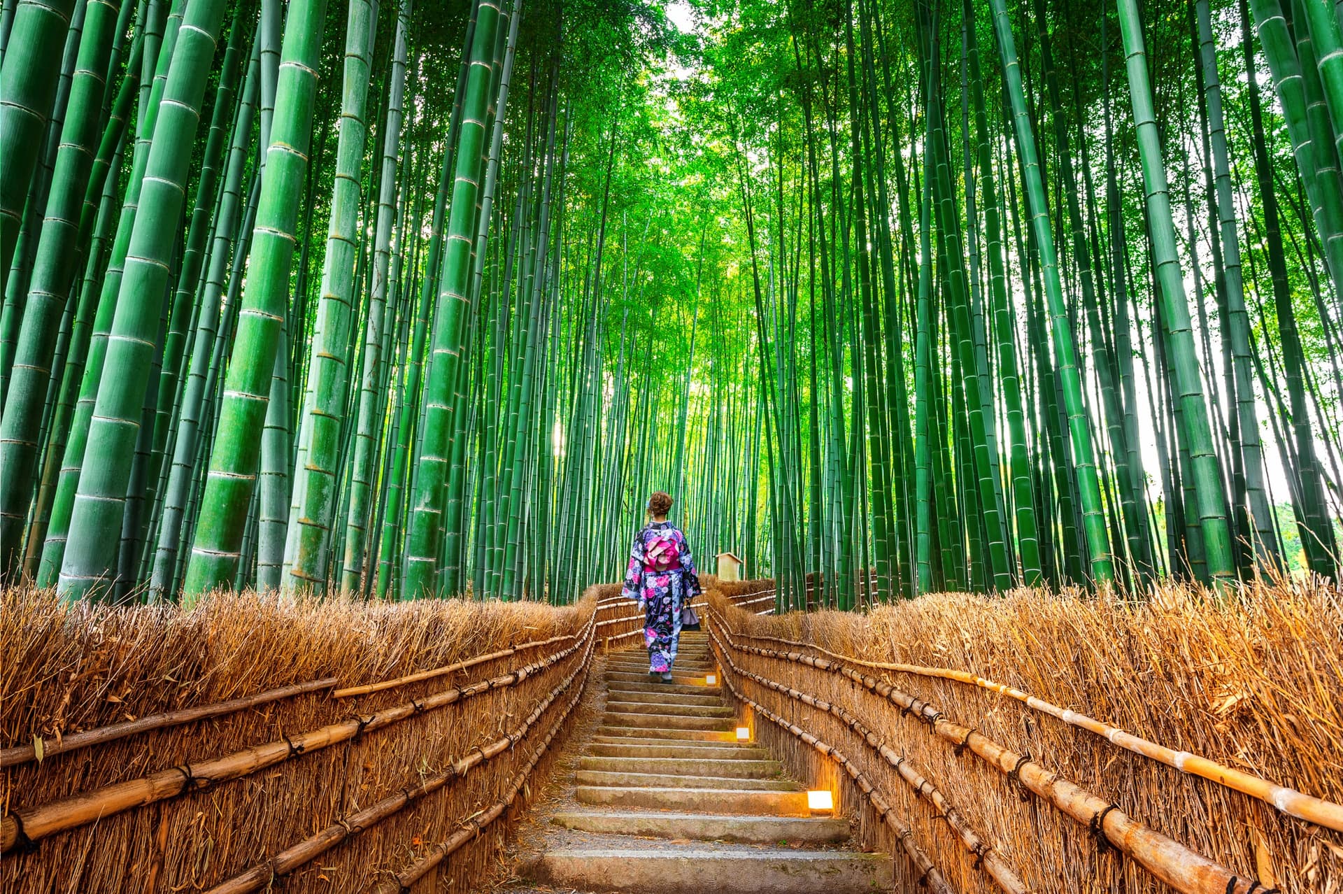 Der Berg Arashiyama